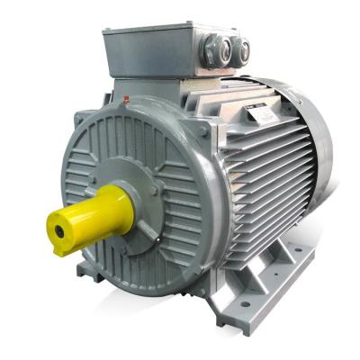 China IE2 75kw Low RPM Electric Motor Drip Proof Customizable High Output Electric Motor for sale