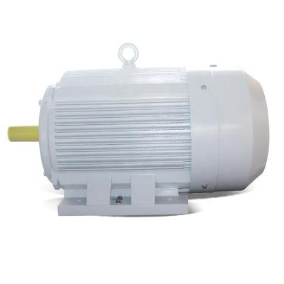 China IP55 YE4 IE4 Totally Enclosed Series Three Phase Asynchronous Induction AC Motor Energy Saving Motor For Industrial Use for sale