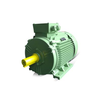 China New Type AC Motor Speed ​​Controller Totally Enclosed Cast Iron Housing Price Optimization Electric Motor for sale