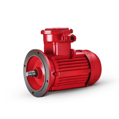 China AC Motor 0.55kw-315kw Explosion Proof Adjustable Induction Speed ​​Low Price Electric Motor for sale