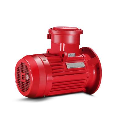 China Ip55 Protection Degree High Efficiency Durable Electric AC Explosion Proof 3 Phase Induction Motor for sale