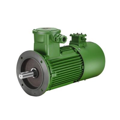 China Factory price 380V ac motor explosion proof electric high quality induction motor for sale for sale