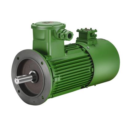 China Good Quality High Power Explosion Proof 50Hz Or 60Hz Small Frequency AC Electric Induction Motor for sale