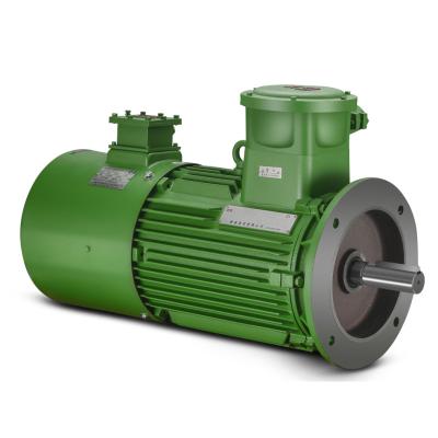 China Wholesale 380V 3000rpm-500rpm Synchronous Speed ​​3 Phase Explosion Proof AC Electric Induction Motor for sale