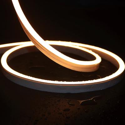 China LANDSCAPE RGB rgbw led cable strip lamp tube strip logo signage light luz custom neon sign for sale