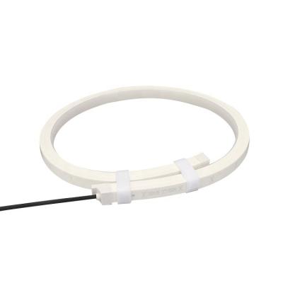 China Swimming pool ; Seaside ; 3000K Underwater Warm White CCT W16mm Pool Underwater Used IP68 PU Neon Led Strip Light for sale