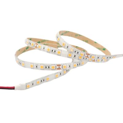 China LANDSCAPE Waterproof DC24V 5050SMD 60LEDS/M IP52 LED Strip for sale