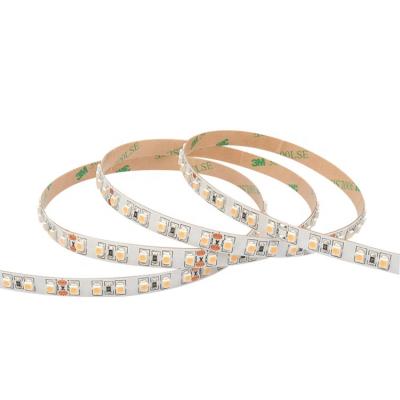 China Hot Selling LANDSCAPE DC12 DC24V Customized CCT 120LEDs Single Color LED Strip 3528SMD Strip Light for sale