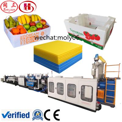 China plastic sheet box making machine for plastic corrugated vegetable and fruit/PP packing box production line for sale