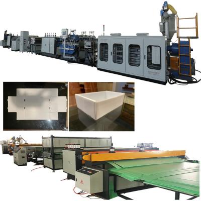 China PP Sheet Plastic Fruit Vegetable Packing Box Production Line for sale