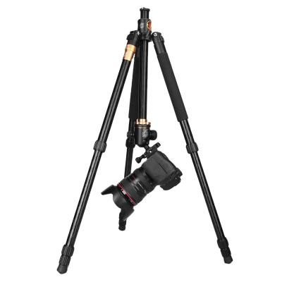 China HANDHELD 2 in 1 Monopod 2 Aluminum Center Axis Tripod Professional Video Camera Tripod For Dslr for sale