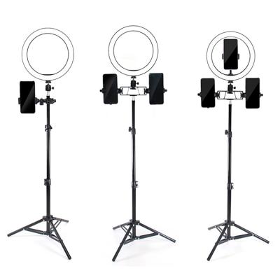 China 10 Inch PORTABLE Video Shooting Ring Light Kit RGB 26 Modes With Tripod 2 Radio Floor-standing Remote For Youtube for sale