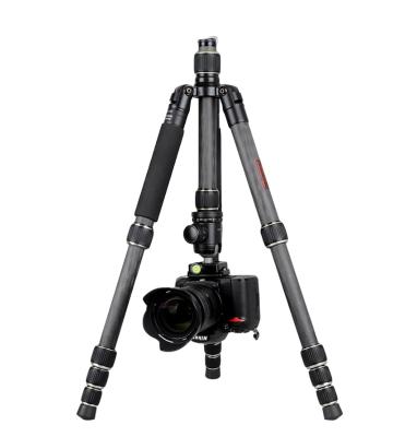 China Mifunle PORTABLE Video Camera Foldable Carbon Fiber Tripod With Telescopic Legs for sale