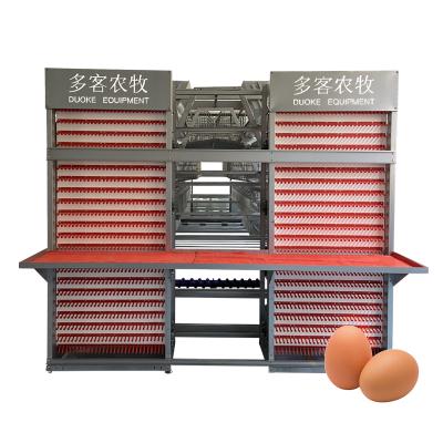 China High Quality Automatic Poultry Field Chicken Layer Egg Cages For Africa Poultry House for sale