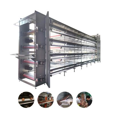 China 100000 H Field Type Poultry Galvanized Automatic Chicken Cage Poultry Farming With Automatic Control System for sale