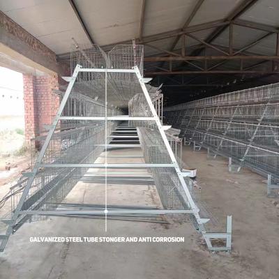 China Cheap 160 Birds 4 Rows Chicken Layers Battery Laying Cages Chicken Farm Poultry Field for sale