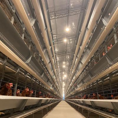 China Poultry Field Poultry Farm Animal Cages Chicken Hens Breeding Automatic Laying Cage Equipment Egg Chicken For Sales Battery Chicken Layer Cage for sale