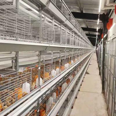 China Easily Install Customizable Big Discount Baby Chicken Cage Chicken Layer Cage System For Sale for sale