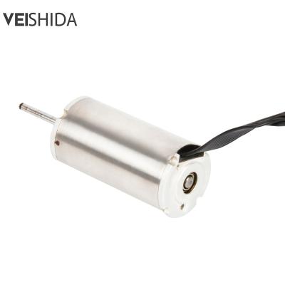 China Fully enclosed customized high torque 24v dc coreless dc motor automatic gate motor 22mm double shaft for sale