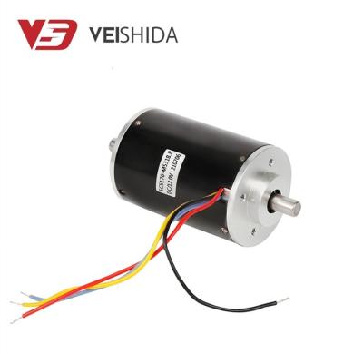 China Totally enclosed customsized high speed electric brushless dc motor of high torque 12v 24v for sale