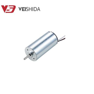 China 12v 30w 5000rmp High Quality Totally Enclosed Brushless Motor Double Ball Bearing DC Brushless Motor for sale