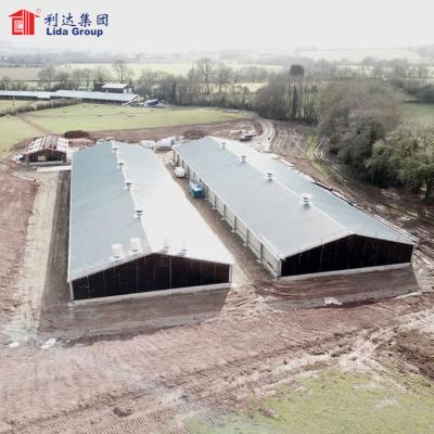 China Cheap farm construction building for poultry farm chicken poultry house for sale