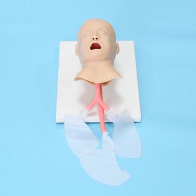 China Medical Mannequins Realistic Child Manikin Half Body What Digital Function Advanced Adult Full Mankin Cpr Maninkin Half Body for sale