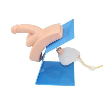 China ADA-H28E Medical College/Nursing School Advanced Portable Male Urethral Catheterization Model for sale