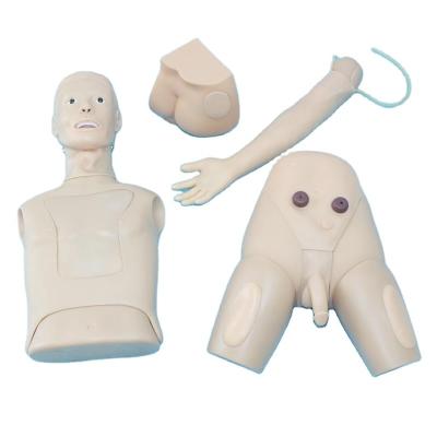 China Vivid Half Body Human Simulator ADA-H70 Anatomy Training Models Student Operation Medical Basic Nursing Manikin High Quality for sale