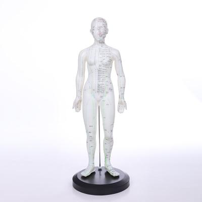 China Made of PVC ADA-Y1009 TCM Female Acupuncture Model 48cm for sale