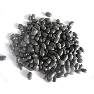 China Factory fresh sale bulk black kidney beans with high quality for sale