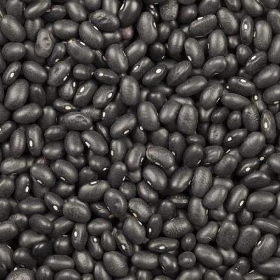 China Fresh high quality dry black kidney beans 180-330 from factory for sale