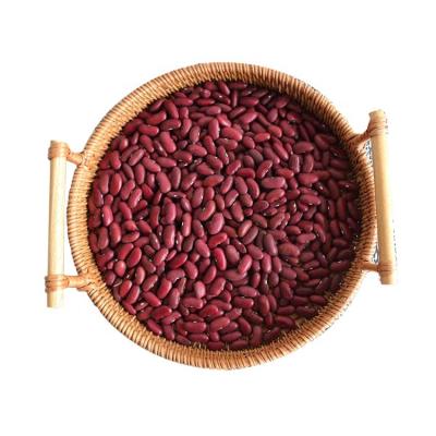 China Bush beans fresh red form of bush beans long for sale