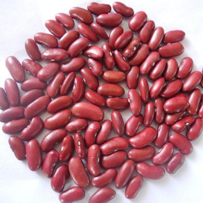 China Wholesale Fresh Dried Kidney Beans Organic Red Spotted Kidney Beans for sale