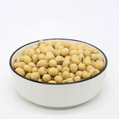 China Best Price Fresh Cheap Wholesale Soybeans Organic Yellow Soybeans Top Quality for sale