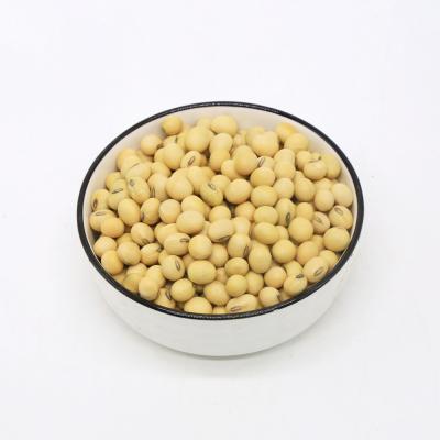 China Fresh NON-GMO Soybeans Soy Farms High Quality Soybeans / Soy Bean Wholesale for sale