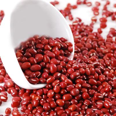 China Fresh Different Type Of Small Chinese Red Adzuki Bean Hot Sale for sale