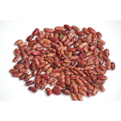 China Small Red Cowpea Vigna Bean Export Grade Red Cowpea Red Adzuki Beans Small Red Adzuki Beans for sale