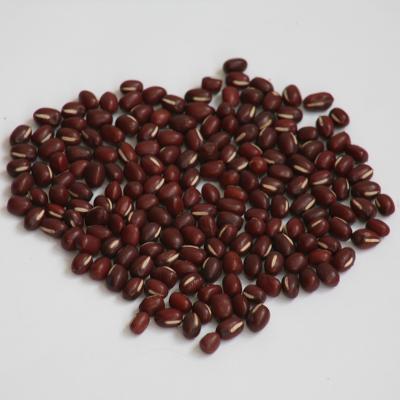 China 2021 fresh new crop red bean adzuki bean adzuki low price for sale