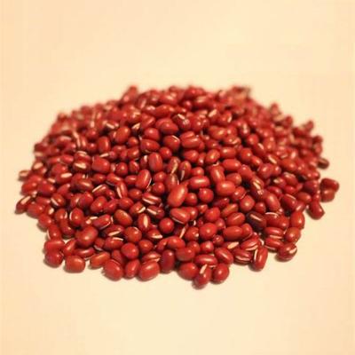 China Small Fresh Chinese Red Bean Adzuki Beans Adzuki Bean For Sale for sale