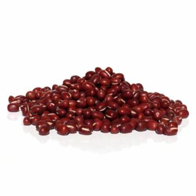 China Wholesale high quality fresh dwarf bean price small red adzuki bean for sale