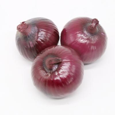 China bulk fresh fresh onion cheap red/yellow onions for sale for sale