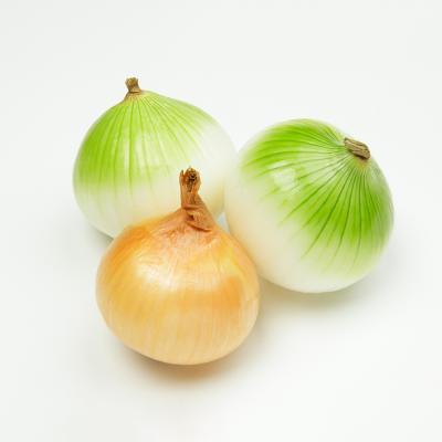 China High quality healthy nutritious fresh sale organic fresh onion for sale