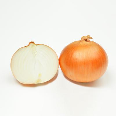 China Premium Grade Wholesale Fresh Fresh Onion/Yellow Onion For Export Competitive Price for sale