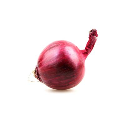 China Free sample fresh onion wholesalers other fresh vegetables onions china fresh onion for sale