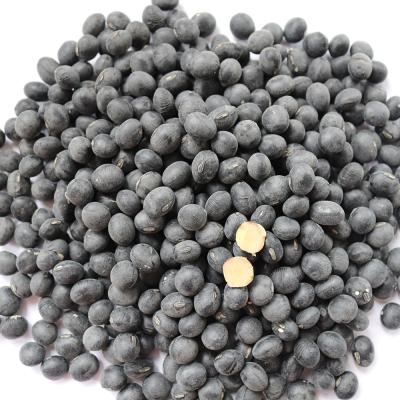 China New free sample fresh crop high quality black dwarf bean black soybean for sale