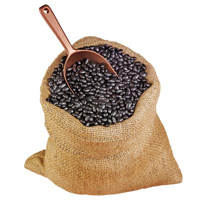 China Standard specifications of fresh black bean black bean salt dwarf bean for sale