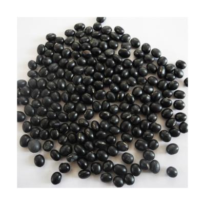 China Fresh Wholesale Bulk Peeled Kernel Black Shelled Natural Yellow Soybeans For Export for sale