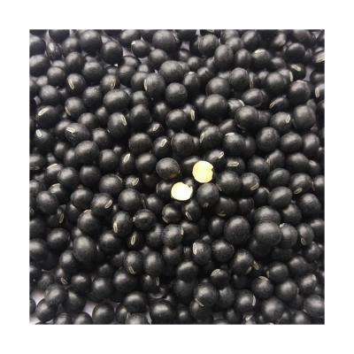 China Wholesale Price Fresh Organic Soybeans Black Beans With Yellow Core for sale