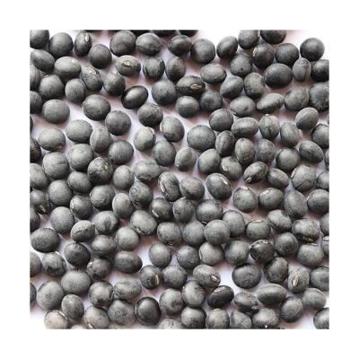 China Healthiy China Non-GMO Exporter Fresh Edible Manufacturer Supplier Organic Soybeans for sale